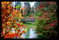 japanese garden bridge