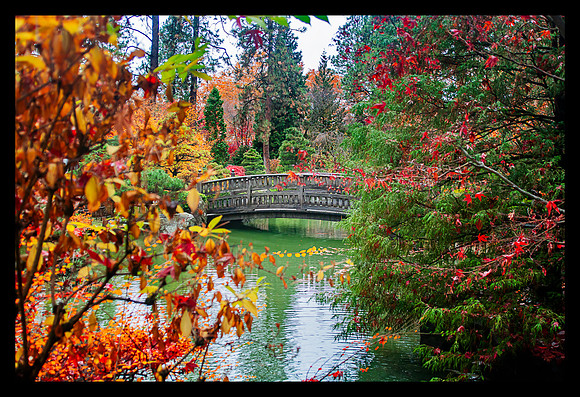 japanese garden bridge