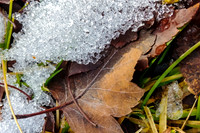 4 Seasons