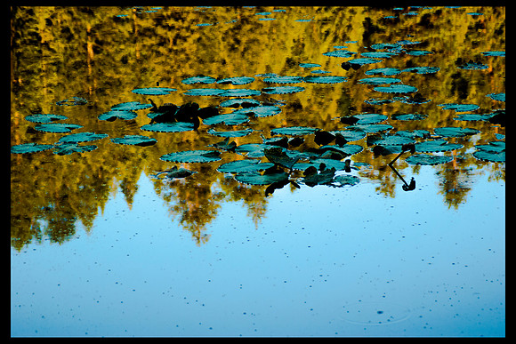 Reflections of Stillness