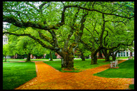 UW Walkway
