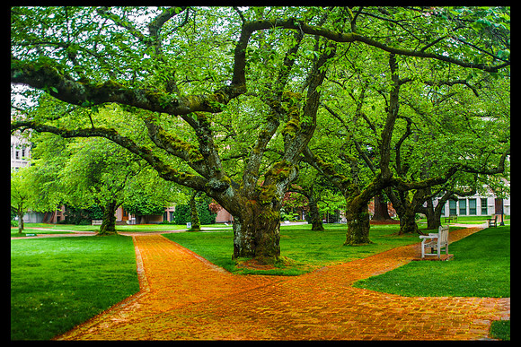 UW Walkway
