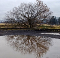 Reflections