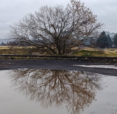Reflections