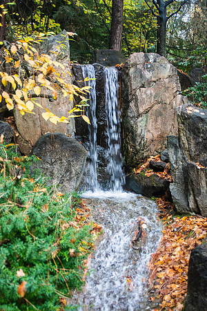 Flow of Renewal